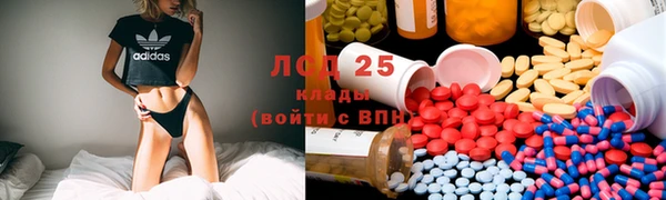 спиды Липки