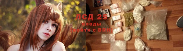 спиды Липки