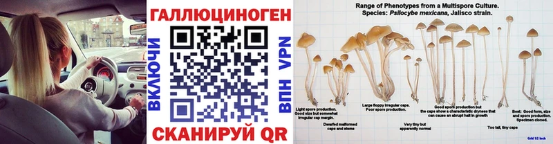 Галлюциногенные грибы GOLDEN TEACHER  KRAKEN ССЫЛКА  Черкесск  продажа наркотиков 