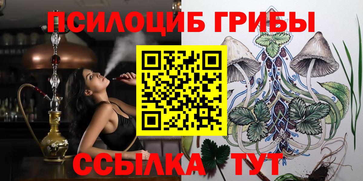 Галлюциногенные грибы MAGIC MUSHROOMS  Вход с VPN  Черкесск 