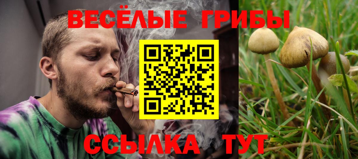 Псилоцибиновые грибы прущие грибы Черкесск